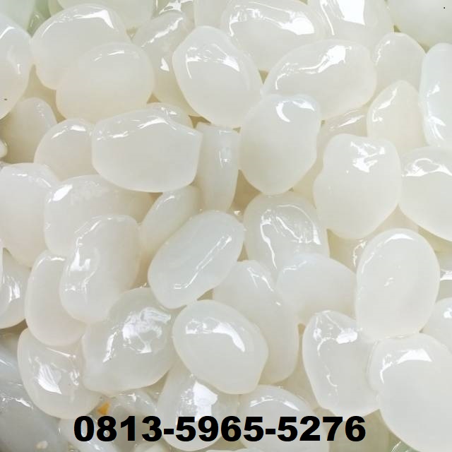 Supplier Agen Jual Kolang kaling Kualitas Super Caruban Madiun Jawa Timur